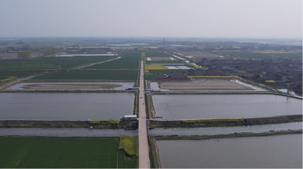 媒体管家: 运满满助力“农村公路+产业” 铺就乡村振兴“快车道”