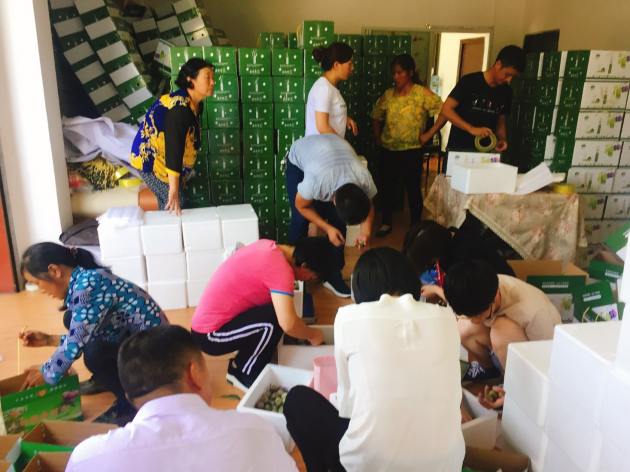 从众“愁”到众筹 九三学社中央携手京东数科助力旺苍“网红果”致富