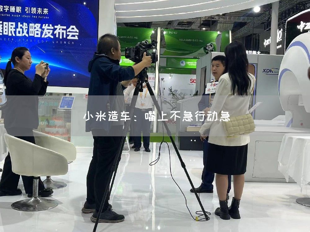 小米造车：嘴上不急行动急