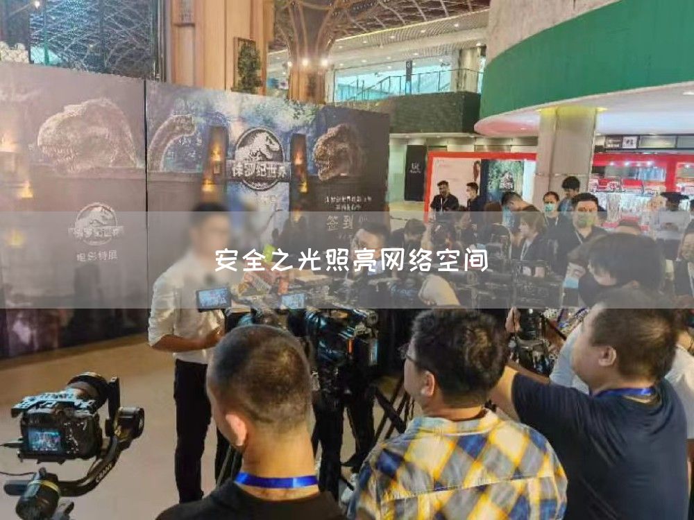 安全之光照亮网络空间