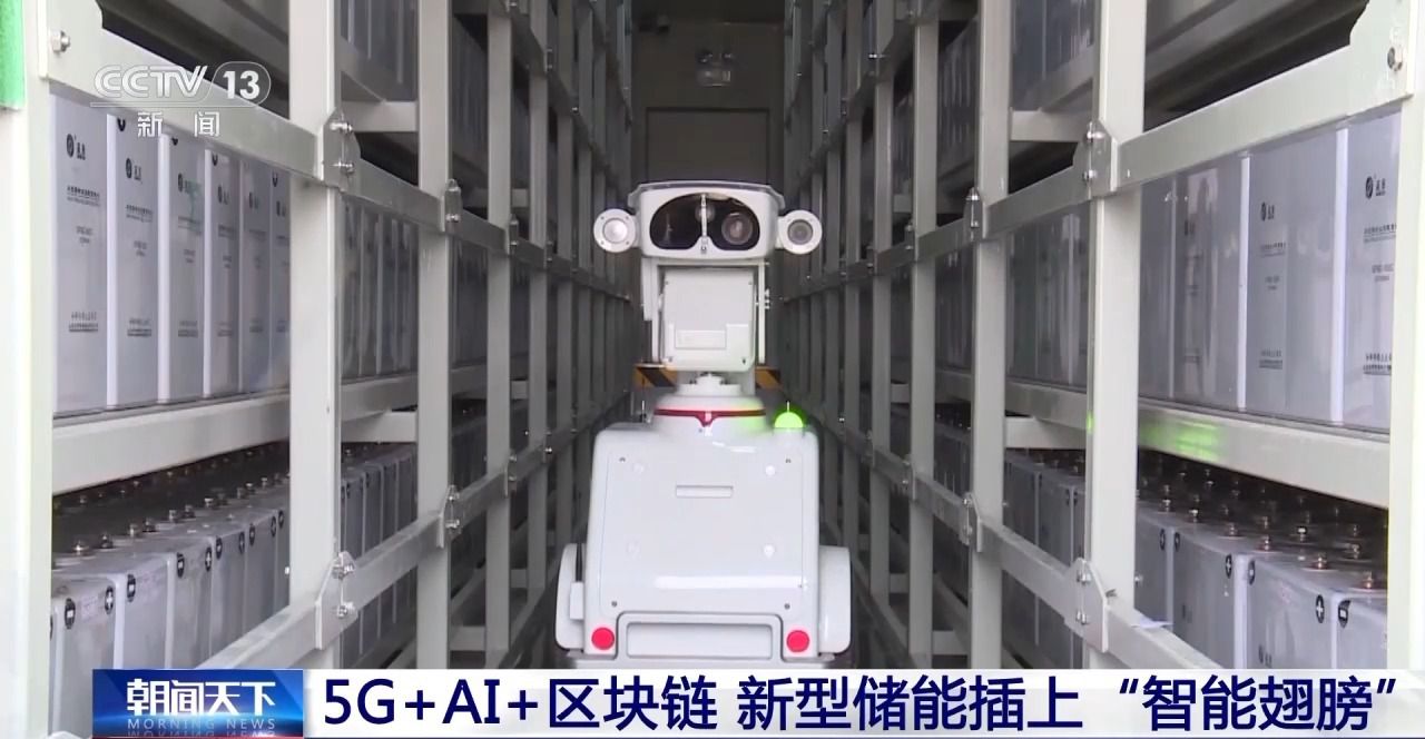 储能行业重磅文件发布 如何让新型储能产业“走向世界”？(图4)