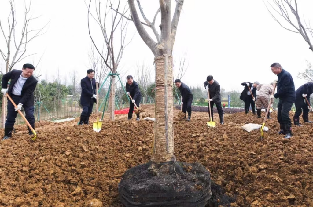 谁是长三角下一座千万人口城市？温州、宁波上演“浙江德比”(图2)