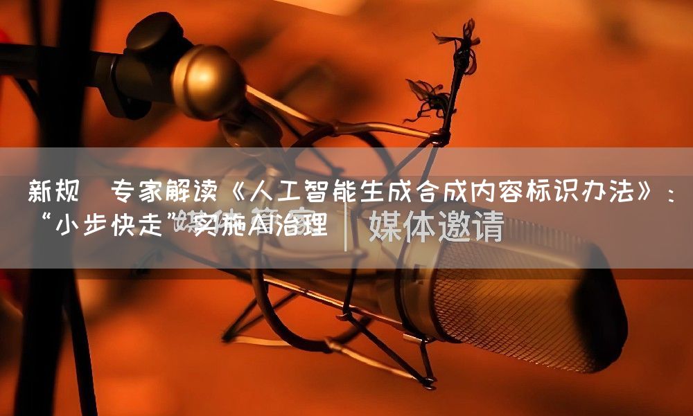 新规｜专家解读《人工智能生成合成内容标识办法》：“小步快走”实施AI治理(图1)