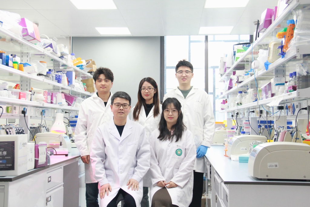 给细菌装智能控制系统杀肿瘤，沪科学家研发光控“细菌战士”(图2)