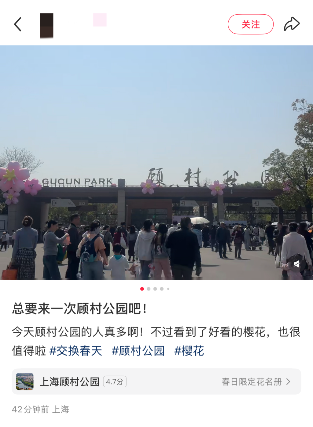 赏花季多地“全城出动”：上海顾村公园单日接待游客超10万人次(图2)