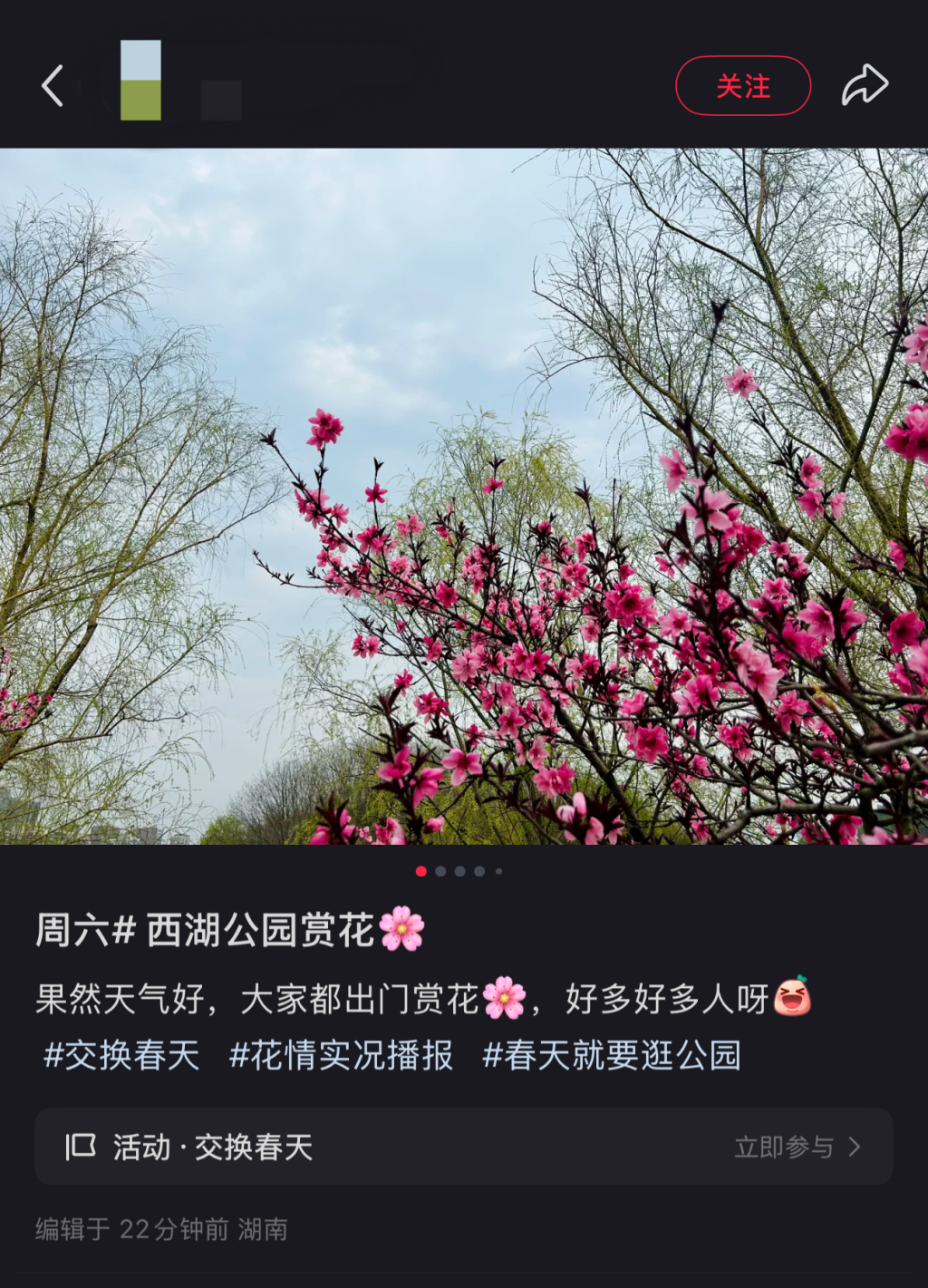 赏花季多地“全城出动”：上海顾村公园单日接待游客超10万人次(图7)