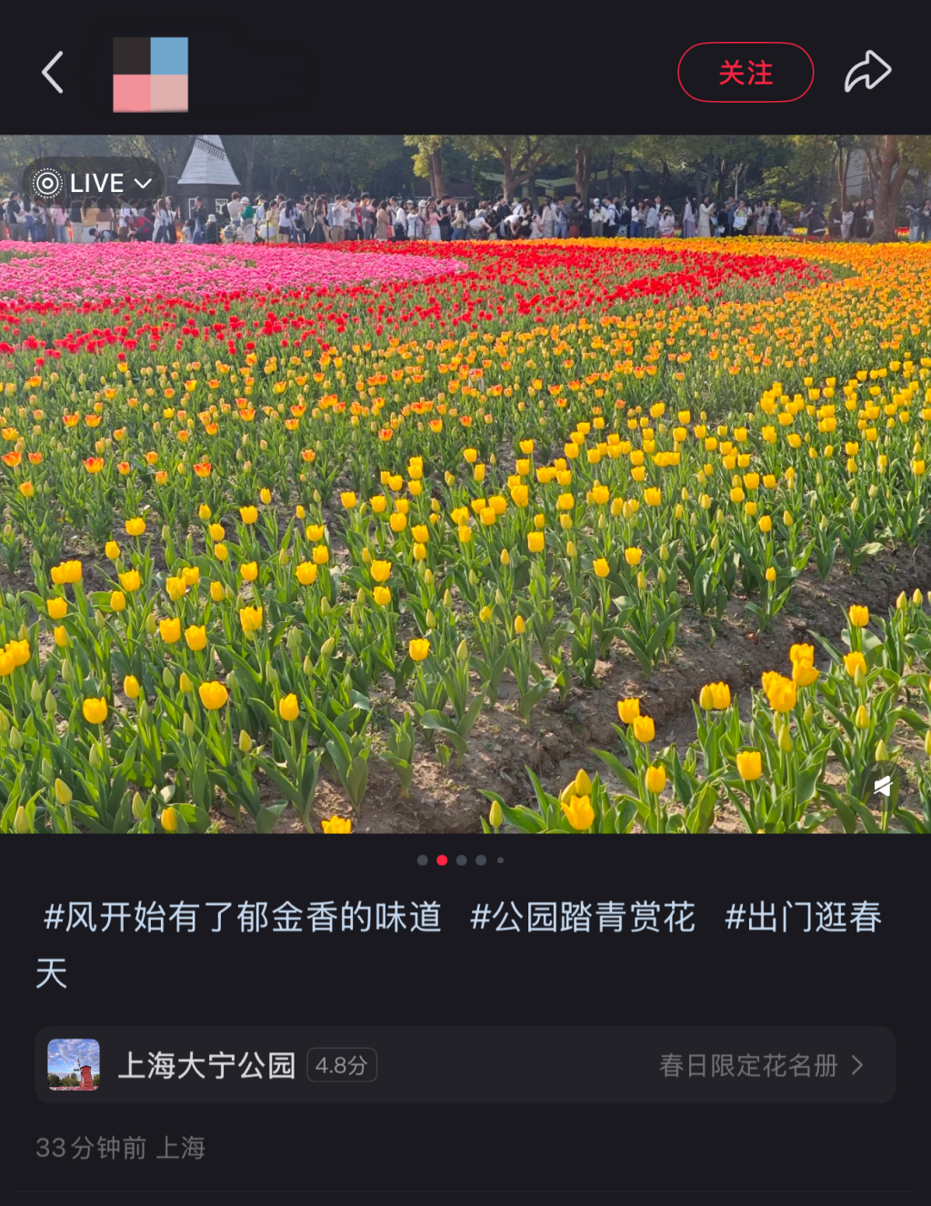 赏花季多地“全城出动”：上海顾村公园单日接待游客超10万人次(图5)