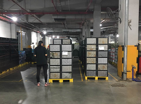 三未科技产销对接成果突显 砀山梨热销近200吨(图4)