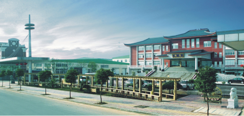 实实在在做实业 推动产业制造升级 绿源勇做制造强国排头兵(图3)