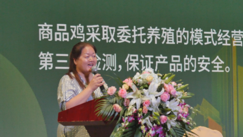 “鸡皇后”三十年让乌鸡成了金凤凰 圆了上万贫困人口脱贫梦(图2) “鸡皇后”三十年让乌鸡成了金凤凰 圆了上万贫困人口脱贫梦(图2)