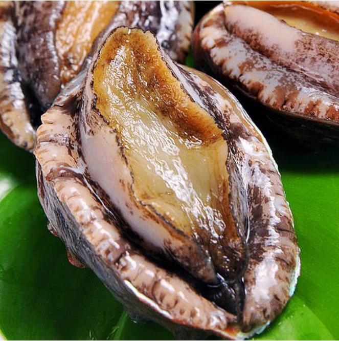 宴御新西兰美食节华丽开启，尽享奢豪远洋海鲜(图3)