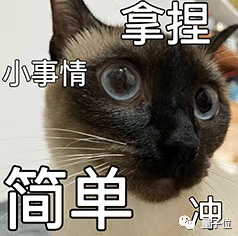30年老律师用ChatGPT旁征博引：结果被骗得禁止执业！(图2)